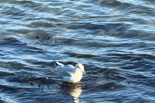 1373 Post Rd, Wells, ME 04090 - Photo 29