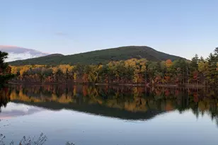 141 Long Pond Dr, Denmark, ME 04022 - Photo 45