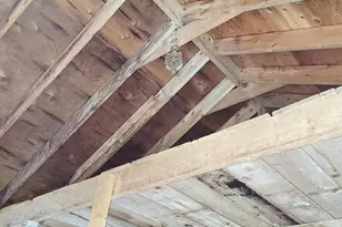 563 East Side Rd, Hancock, ME 04640 - Photo 65