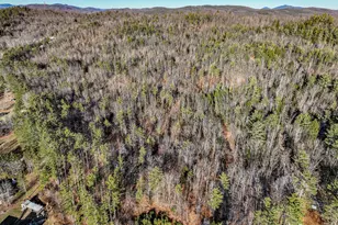 41 Wyman Hill Rd, Rumford, ME 04276 - Photo 31