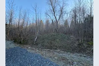 M5 L46D Black Bear Avenue, Frenchville, ME 04745 - Photo 5