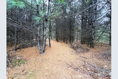 Lot 4 Emery Road, Parsonsfield, ME 04047 - Photo 11