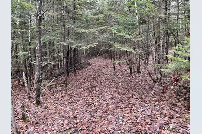 194 E Gulch Road, Thorndike, ME 04986 - Photo 3