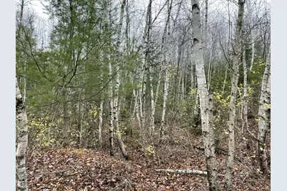 194 E Gulch Road, Thorndike, ME 04986 - Photo 11