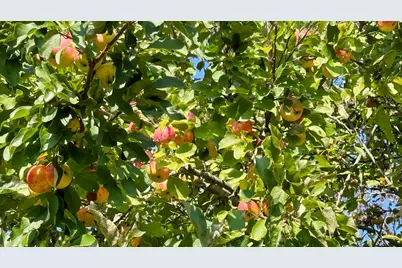 85 Lubec Road, Whiting, ME 04691 - Photo 19