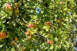 85 Lubec Rd, Whiting, ME 04691 - Photo 19