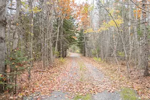 71 Bay View Dr, Bar Harbor, ME 04609 - Photo 45