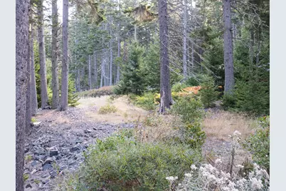 63 Minturn Road, Swans Island, ME 04685 - Photo 15