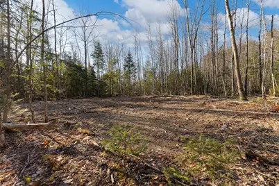 Lot 10 Pine Hill Road, Palermo, ME 04354 - Photo 5