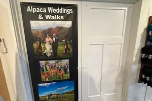 608 Atlantic Hwy, Northport, ME 04849 - Photo 31