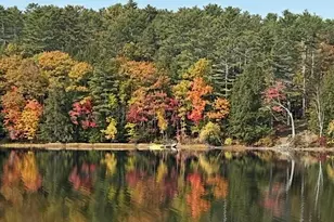 183 Loon Cove Ln, Winthrop, ME 04364 - Photo 77