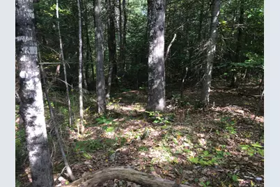 228 S Stagecoach Road, Atkinson, ME 04426 - Photo 19