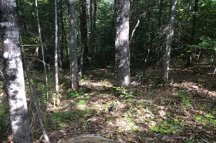 228 S Stagecoach Rd, Atkinson, ME 04426 - Photo 19