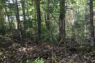 228 S Stagecoach Rd, Atkinson, ME 04426 - Photo 17