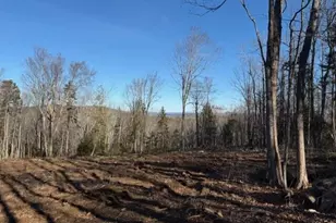 24A Nelson Dr, Northport, ME 04849 - Photo 1