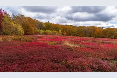 Map 4 Lot 3 Clarry Hill Lane, Union, ME 04862 - Photo 27