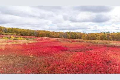 Map 4 Lot 3 Clarry Hill Lane, Union, ME 04862 - Photo 21