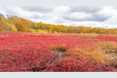 Map 4 Lot 3 Clarry Hill Lane, Union, ME 04862 - Photo 25