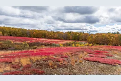 Map 4 Lot 3 Clarry Hill Lane, Union, ME 04862 - Photo 23