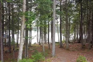 24 Deer Point Road W, Robbinston, ME 04671 - Photo 7