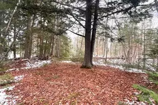 15 Hunter Pond Rd, Linneus, ME 04730 - Photo 29