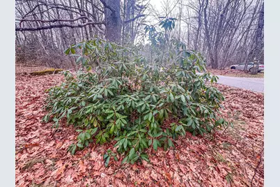 677 Millvale Road, Bucksport, ME 04416 - Photo 7