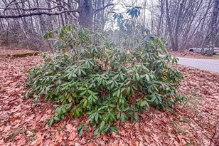 677 Millvale Rd, Bucksport, ME 04416 - Photo 7