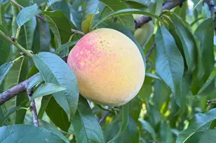 13 Bar Mills Rd, Hollis, ME 04042 - Photo 55