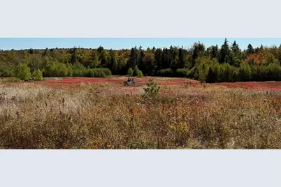 Map19Lot28 Leach Road, Penobscot, ME 04476 - Photo 21