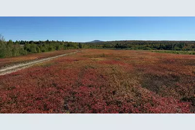 Map19Lot28 Leach Road, Penobscot, ME 04476 - Photo 11