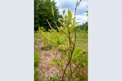 9 State Park Road, Dover Foxcroft, ME 04426 - Photo 69