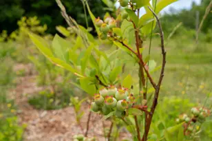9 State Park Rd, Dover Foxcroft, ME 04426 - Photo 69
