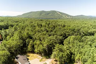 31 Helena Wy, Bridgton, ME 04009 - Photo 7