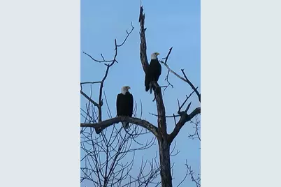 165 Old Stage Road, Norway, ME 04268 - Photo 47