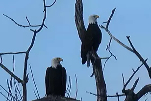 165 Old Stage Rd, Norway, ME 04268 - Photo 47