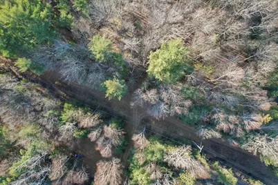 Map7 Lot7 Route 204, Lamoine, ME 04605 - Photo 11