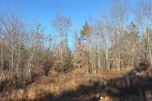 Lot 4 Baldwin Rd (Route 11), Baldwin, ME 04024 - Photo 5