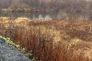 17 Lake St, Stockholm, ME 04783 - Photo 9