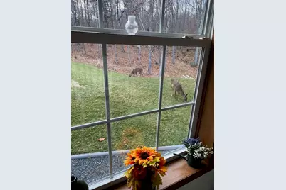 269 E Side Drive, Verona, ME 04416 - Photo 31