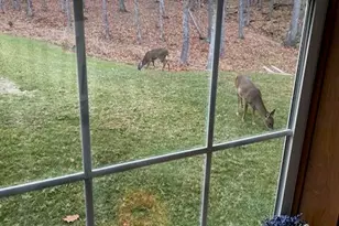 269 East Side Dr, Verona, ME 04416 - Photo 31