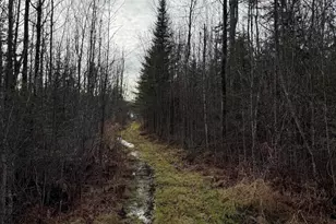 43 Whitten Rd, Clinton, ME 04927 - Photo 41