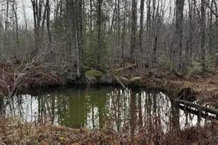 43 Whitten Rd, Clinton, ME 04927 - Photo 39