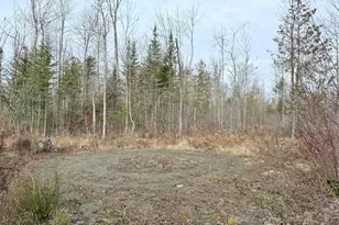 43 Whitten Rd, Clinton, ME 04927 - Photo 31