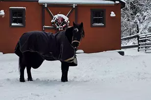 327 Carroll Rd, Warren, ME 04864 - Photo 55