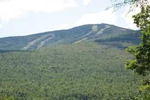 33 Nahama Wy, Newry, ME 04261 - Photo 91