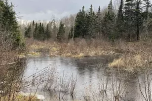 94 Green Valley Rd, Stockton Springs, ME 04981 - Photo 33