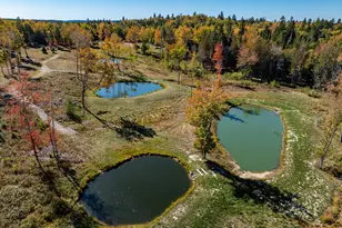 408 Duck Cove Rd, Roque Bluffs, ME 04654 - Photo 13