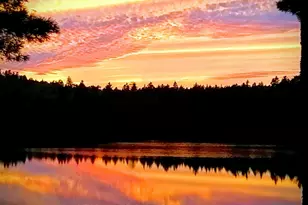 2 Eagles Perch Rd, Northfield, ME 04654 - Photo 5