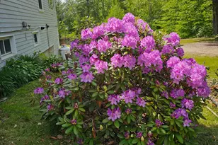 24 Emery Corner Rd, Limerick, ME 04048 - Photo 33