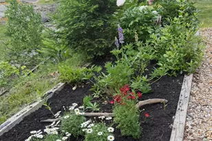 494 Newbury Neck Rd, Surry, ME 04684 - Photo 53